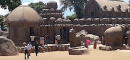 Apex Travels & Tour Barasat Kolkata - Tour Operators Sulekha Image-0