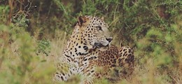 Journey To Gujarat Kuber Nagar Ahmedabad - Tour Operators Sulekha Image-2