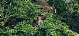 Journey To Gujarat Kuber Nagar Ahmedabad - Tour Operators Sulekha Image-3