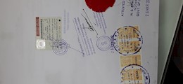 Ak Trippers Zone Pvt. Ltd. Choolaimedu Chennai - Tour Operators Sulekha Image-3