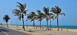 Flying Feathers India events and tours Viman Nagar Pune - Tour Operators Sulekha Image-1