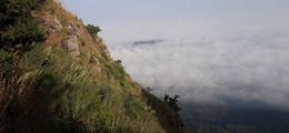 Magadi Kempegowda Tours & Travels Jayanagar 4th block Bangalore - Tour Operators Sulekha Image-2