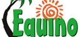 Equino Fun Holidays Koregaon Park Pune - Tour Operators Sulekha Image-0