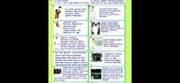 Al Falah Hajj Services - 15 Years Old Company Parrys Chennai - Tour Operators Sulekha Image-2