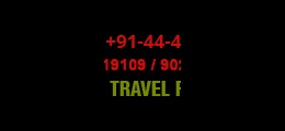 Go World Holidays Thousand Lights Chennai - Tour Operators Sulekha Image-0