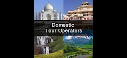 Star India Tours Dwarka Delhi - Tour Operators Sulekha Image-2