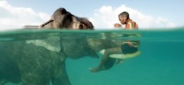 Andaman Trip Planners Ghatkopar West Mumbai - Tour Operators Sulekha Image-1