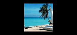EW Travel House Hari Nagar Delhi - Tour Operators Sulekha Image-2