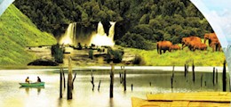 Birdcube Travel Pitampura Delhi - Tour Operators Sulekha Image-0