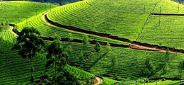 Big Life Holidays Laxmi Nagar Delhi - Tour Operators Sulekha Image-1