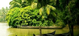 Inaya Tour And Travels Dwarka Delhi - Tour Operators Sulekha Image-0