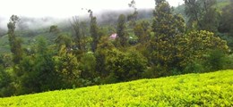 KNZ Tours & Travels Frazer Town Bangalore - Tour Operators Sulekha Image-1