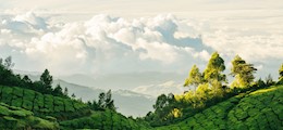 Anbumani Alandur Chennai - Tour Operators Sulekha Image-3