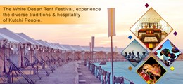 Compass Tourism Ellis Bridge Ahmedabad - Tour Operators Sulekha Image-3