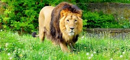 European Konnect Pvt Ltd Tilak Nagar Delhi - Tour Operators Sulekha Image-2
