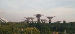 Dreamerz Holidays Laxmi Nagar Delhi - Tour Operators Sulekha Image-1