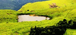 Kavya Tours and Travels Thyamagondlu Bangalore - Vehicle Rentals Sulekha Image-3