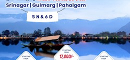 TripsDesigns Daskroi Ahmedabad - Tour Operators Sulekha Image-2
