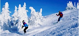 Planet Tourism Dalhousie Kolkata - Tour Operators Sulekha Image-1