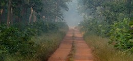 Wild Destination Dombivali East Mumbai - Tour Operators Sulekha Image-3