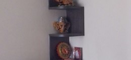 Wild Spear Pvt. Ltd. Miyapur Hyderabad - Tour Operators Sulekha Image-0