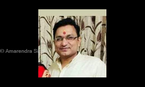 Amarendra Singh in Delhi, Delhi - 110053