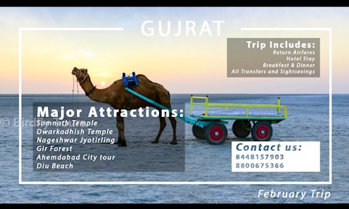 Birdfly Tours in Rohini, Delhi - 110086