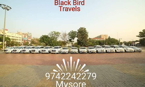 Black Bird Travels Mysore in Udayagiri, Mysore - 570011