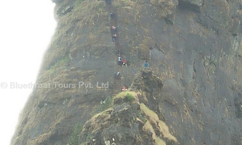 Bluethroat Tours Pvt. Ltd. in Pimple Gurav, Pimpri Chinchwad - 411061