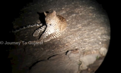 Journey To Gujarat in Kuber Nagar, Ahmedabad - 380006