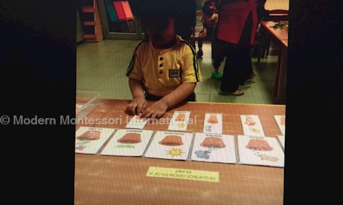 Modern Montessori International in Sector 26, Noida - 201301