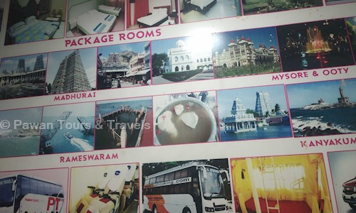 Pawan Tours & Travels in T.P. Area, Tirupati - 517501