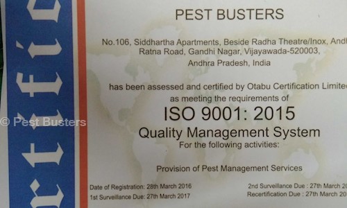 Pest Busters in Eenadu To Gurudwara Road, Visakhapatnam - 530016