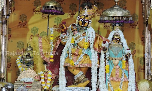Rajasthan Tour India in Amer, Jaipur - 302028