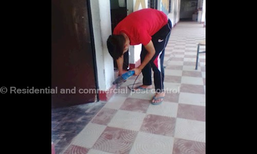 Residential and commercial pest control  in Nainital Road, Haldwani - 263139