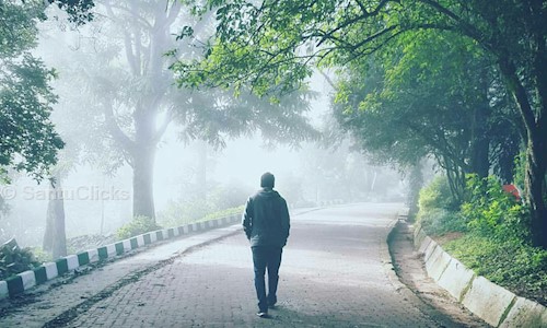 SantuClicks in Basavanagudi, Bangalore - 560004