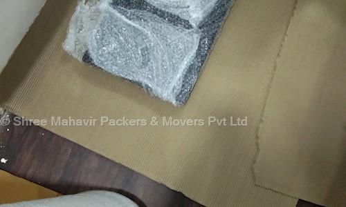 Shree Mahavir Packers & Movers Pvt. Ltd.