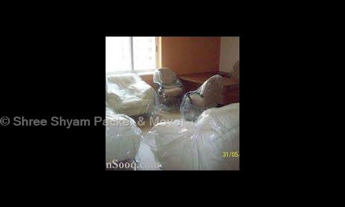 Shree Shyam Packer & Mover in Kadodara, Surat - 394327