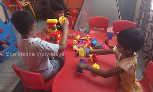 Shri Medha Vidhyalaya