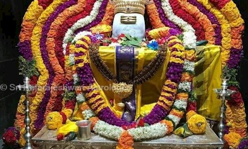 Sri Rajarajeshwari Astrologer in Mangalore Collectorate, Mangalore - 575003