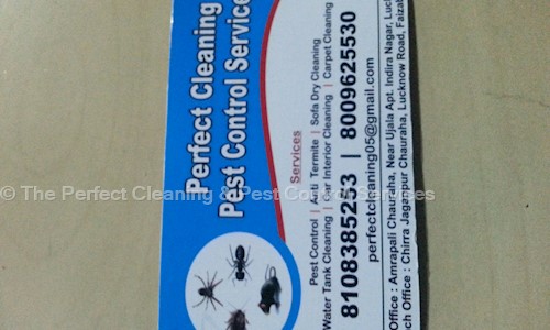 The Perfect Cleaning & Pest Control Services in Chirra Mohammad Pur, Faizabad - 224188