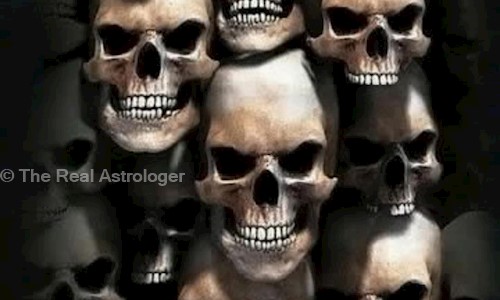 The Real Astrologer in Naranpura, Ahmedabad - 380013