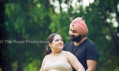 The Royal Productions in Aliganj, Lucknow - 226024