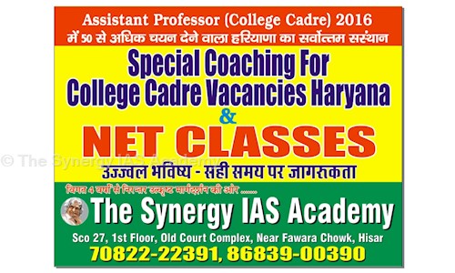 THE SYNERGY IAS Academy in Hisar City, Hisar - 125001