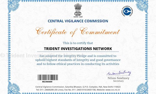 Trident Investigations Network in Pitampura, Delhi - 110085