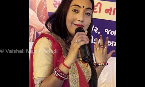 Vaishali Music Melodi in Naroda, Ahmedabad - 382345