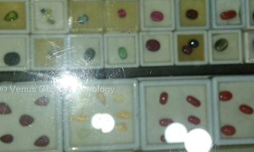 Venus Gems & Astrology in Kukatpally, Hyderabad - 500090