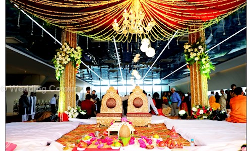 Wedding Colour in Vijay Nagar, Indore - 452001
