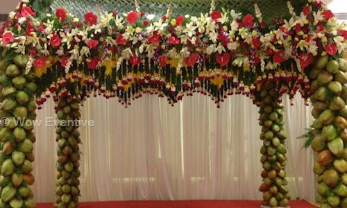 Wow Eventive in Banashankari, Bangalore - 560085