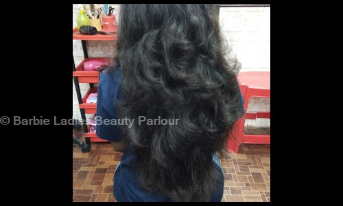 Barbie Ladies Beauty Parlour in Mirhati, Kolkata - 700125